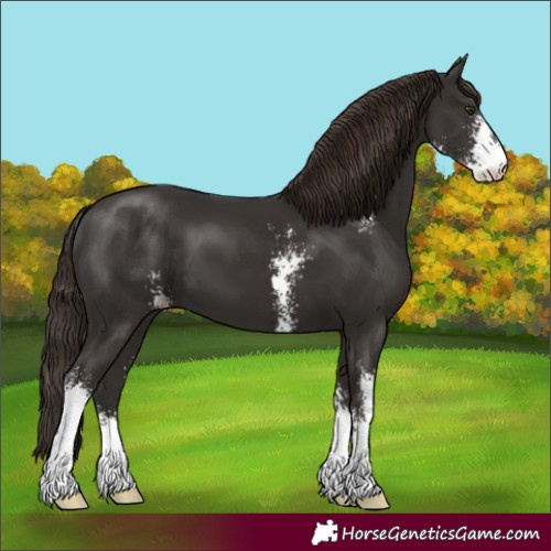 Horse Color:Liver Chestnut Sabino 
