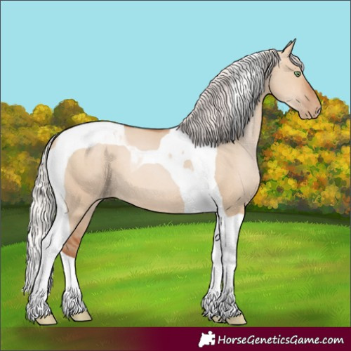 Horse Color:Silver Bay Pearl Dun Tobiano 