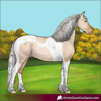 Horse Color:Silver Bay Pearl Dun Tobiano