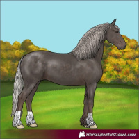 Horse Color:Silver Black 