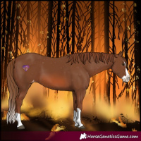 Horse Color:Chestnut Splash Varnish
