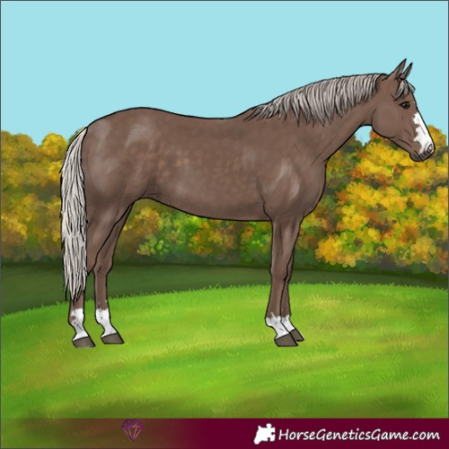 Horse Color:Silver Black 