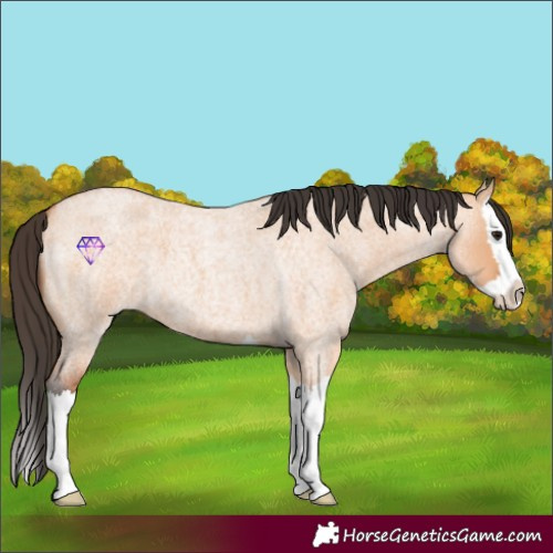 Horse Color:Bay Roan Dun Splash 