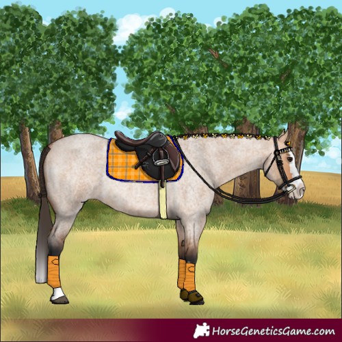 Horse Color:Bay Roan Dun Splash 