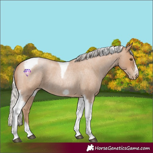 Horse Color:Silver Blue Roan Pearl Tobiano Frame