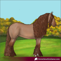 Horse Color:Red Dun 