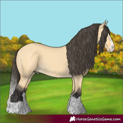 Horse Color:Buckskin Dun Splash 