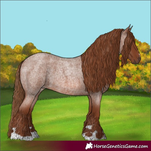Horse Color:Red Roan