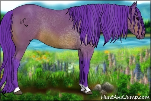 Horse Color:Watercolor Bay Rabicano 