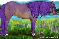 Horse Color:Watercolor Bay Rabicano 