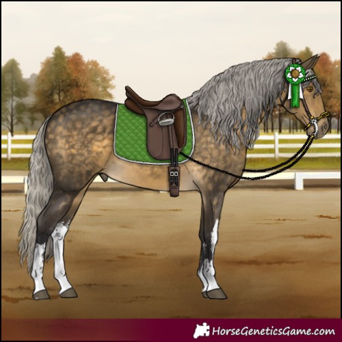 Horse Color:White Spotted Silver Buckskin 