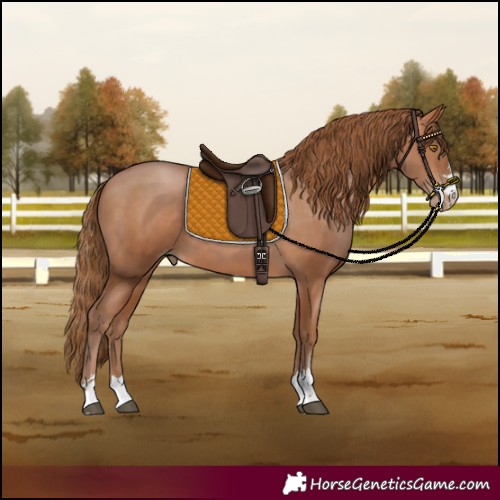 Horse Color:Brown Pearl 