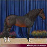 Horse Color:Brown 