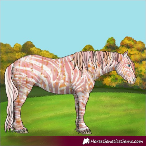 Horse Color:Cremello Sabino and Cremello Sabino