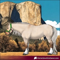 Horse Color:Silver Bay Roan Dun Tobiano 