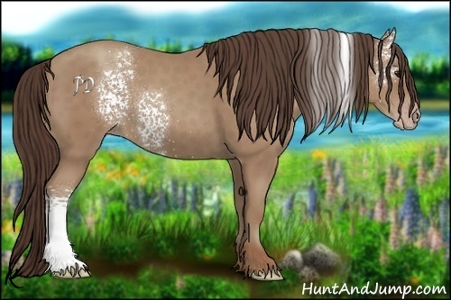 Horse Color:White Spotted Classic Champagne Rabicano 