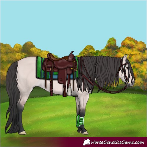 Horse Color:Platinum Bay Dun
