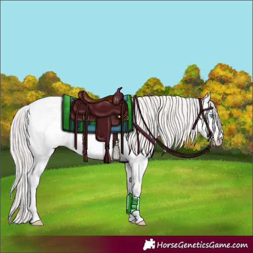 Horse Color:Platinum Perlino Roan Dun