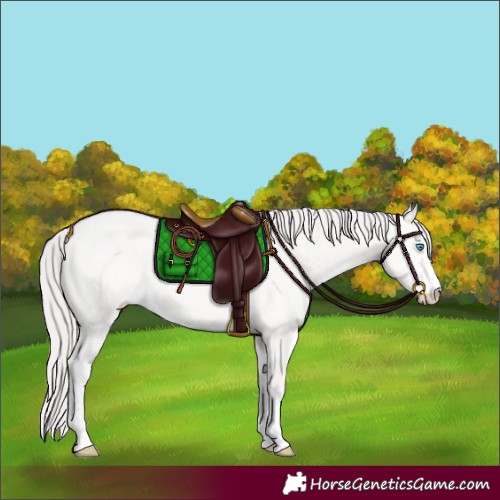 Horse Color:Platinum Perlino