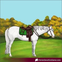 Horse Color:Platinum Perlino 