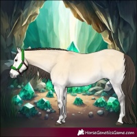 Horse Color:Buckskin Onyx 