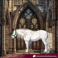 Horse Color:Gray White Spotted Silver Amber Champagne Roan Dun Splash Frame Appaloosa Rabicano 