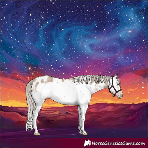 Horse Color:Gray White Spotted Silver Sable Champagne Dun Splash Frame Appaloosa Rabicano