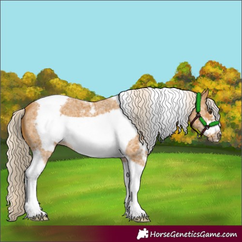 Horse Color:Palomino Sabino Tobiano Frame 