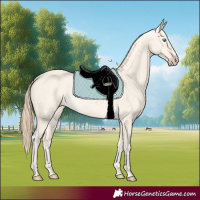 Horse Color:Perlino Dun 