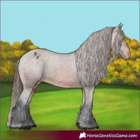 Horse Color:Bay Varnish