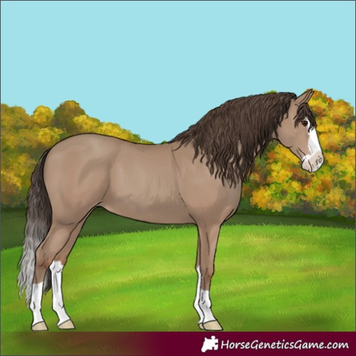 Horse Color:Classic Champagne Splash