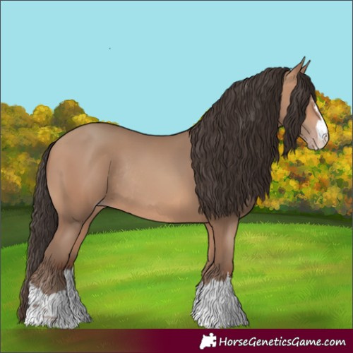 Horse Color:Amber Champagne Rabicano