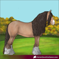 Horse Color:Amber Champagne Rabicano 
