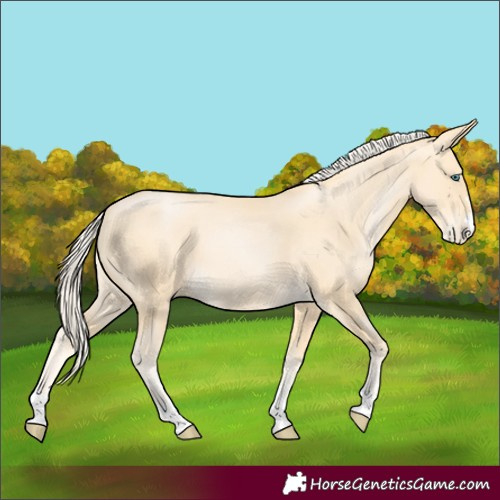 Horse Color:Palomino Pearl 