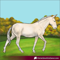 Horse Color:Palomino Pearl