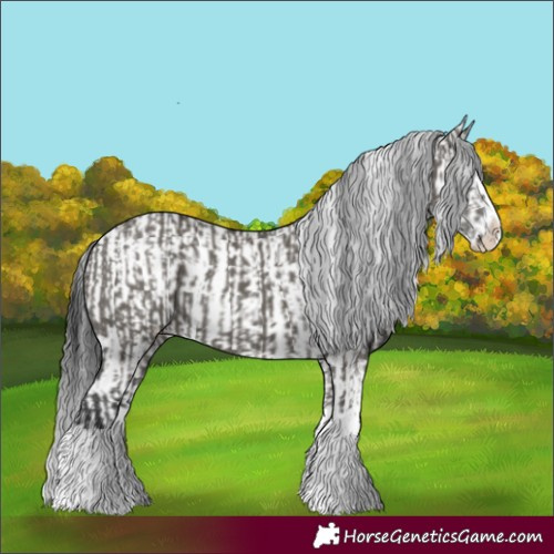 Horse Color:Grullo Sabino Splash and Grullo Sabino Splash