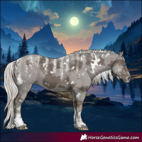 Horse Color:Powder White White Spotted Silver Black Merle 
