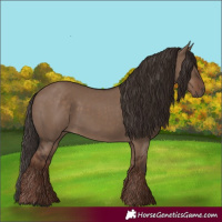 Horse Color:Liver Red Dun Rabicano