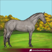 Horse Color:Smoky Grullo Varnish