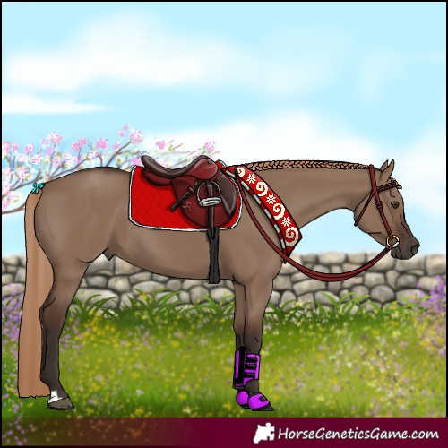 Horse Color:Liver Red Dun 