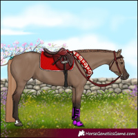 Horse Color:Liver Red Dun 