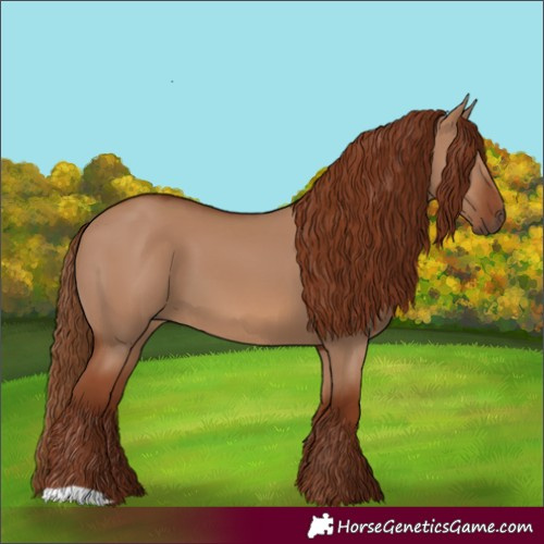Horse Color:Red Dun