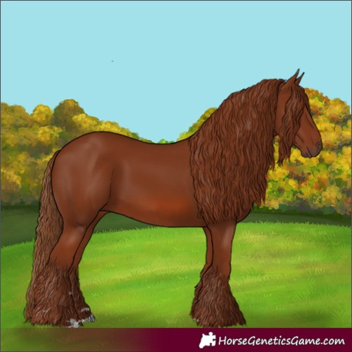Horse Color:Chestnut 