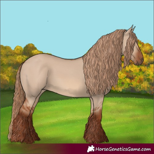 Horse Color:Red Dun 