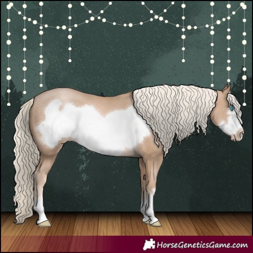Horse Color:Chocolate Palomino Pearl Frame 
