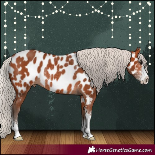 Horse Color:Silver Bay Sabino Near Leopard Rabicano 