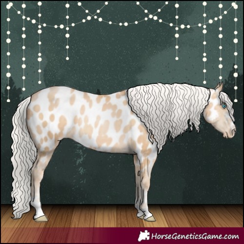 Horse Color:Silver Smoky Black Pearl Appaloosa 