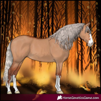 Horse Color:Chocolate Silver Bay Dun 
