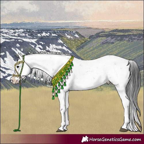 Horse Color:Brown Sabino