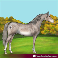 Horse Color:Liver Red Dun Mushroom Sabino Tobiano Varnish Brindle